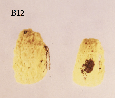 395_B-12.png