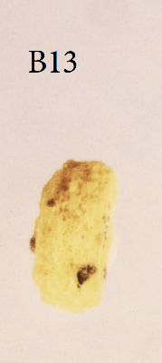B-13.png
