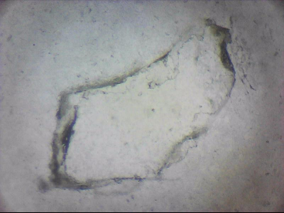 tdIIIa2_q1mm0010.jpg