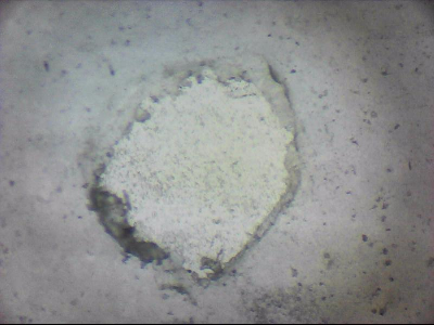 tdIIIa2_q1mm0028.jpg