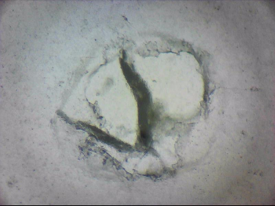tdIIIa2_q1mm0011.jpg