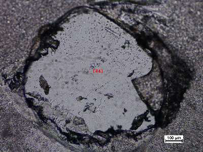TDIIIA2q05_44_v.jpg