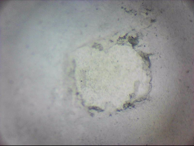 tdIIIa2_q1mm0021.jpg