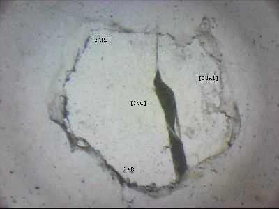 tdIIIa2_q1mm0034_v_cr.jpg