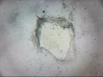 tdIIIa2_q1mm0043.jpg