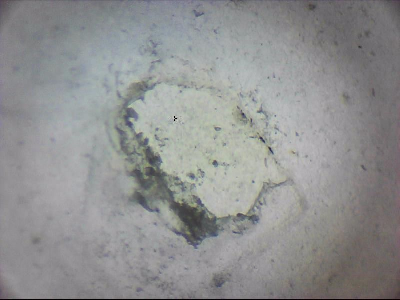 tdIIIa2_q1mm0008_v.jpg