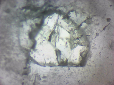 bgIIIfgfolott_q05mm0017.jpg