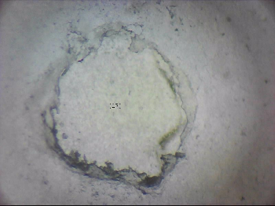 tdIIIa2_q1mm0017_v.jpg