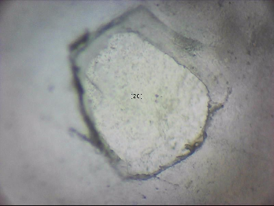 tdIIIa2_q1mm0020_v.jpg