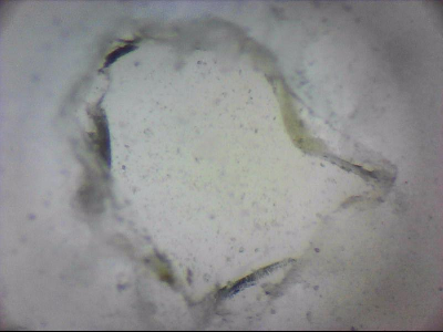 tdIIIa2_q1mm0049.jpg