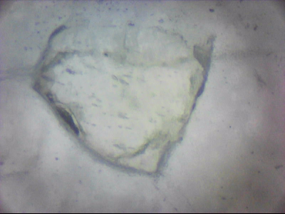 bgIIIfgfolott_q1mm0013.jpg