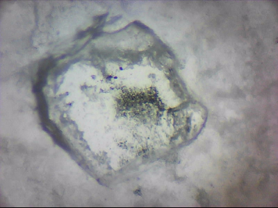 bgIIIfgfolott_q1mm0017.jpg