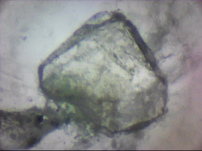 bgIIIfgfolott_q1mm0038.jpg