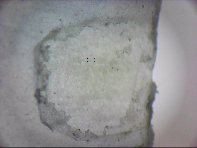 tdIIIa2_q1mm0006_v.jpg