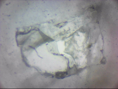 bgIIIfgfolott_q1mm0010.jpg