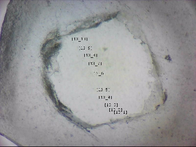 tdIIIa2_q1mm0013_v.jpg