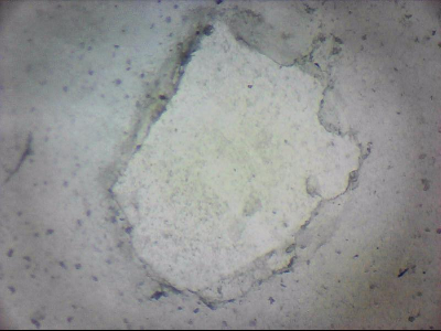 tdIIIa2_q1mm0029.jpg