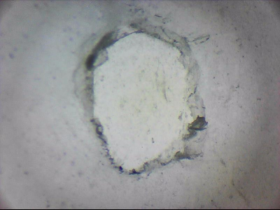 tdIIIa2_q1mm0026.jpg