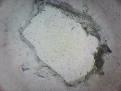 tdIIIa2_q1mm0016.jpg