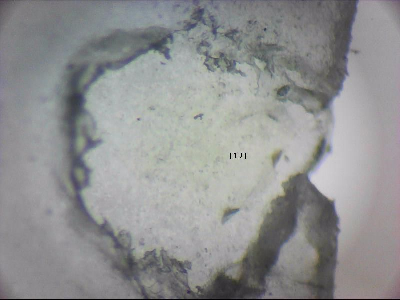 tdIIIa2_q1mm0019_v.jpg