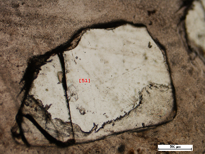 O_AJutca_Q_51_v.jpg