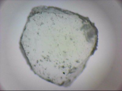tdIIIa2_q1mm0058.jpg