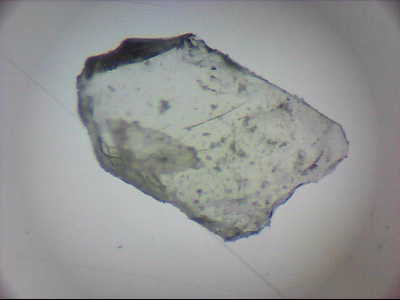 tdIIIa2_q1mm0057.jpg