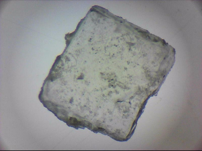 tdIIIa2_q1mm0055.jpg