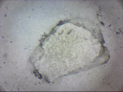 tdIIIa2_q1mm0036.jpg