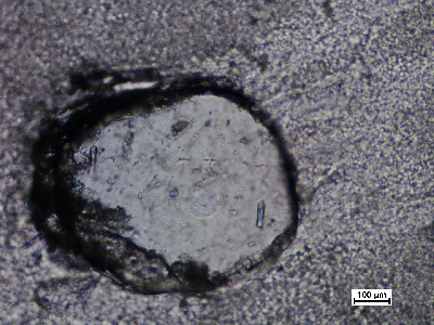 TDIIIA2q05_36.jpg