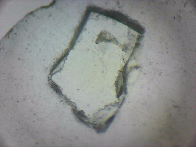 tdIIIa2_q1mm0000.jpg
