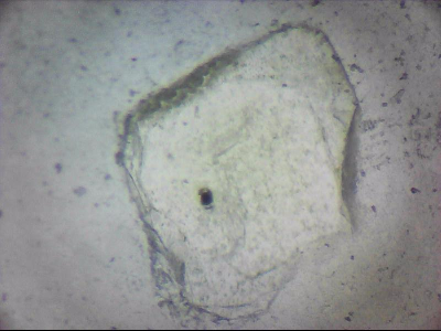 tdIIIa2_q1mm0038.jpg