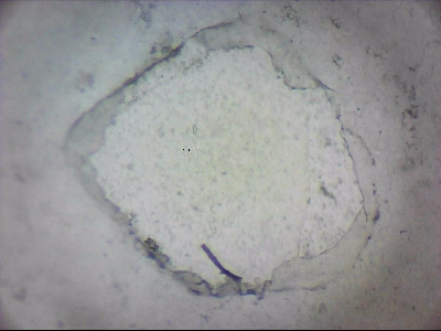 tdIIIa2_q1mm0015_v.jpg