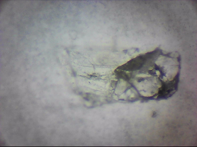 bgIIIfgfolott_q1mm0035.jpg