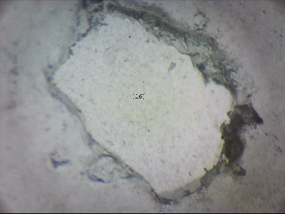 tdIIIa2_q1mm0016_v.jpg