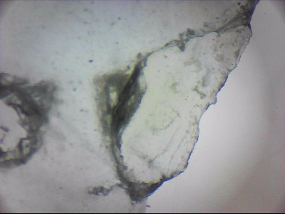 tdIIIa2_q1mm0053.jpg