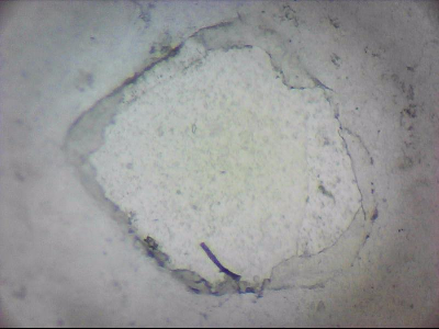 tdIIIa2_q1mm0015.jpg