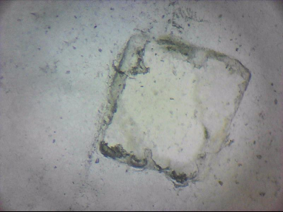 tdIIIa2_q1mm0042.jpg