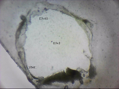 tdIIIa2_q1mm0025_v_cr.jpg