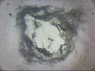 tdIIIa2_q1mm0052.jpg
