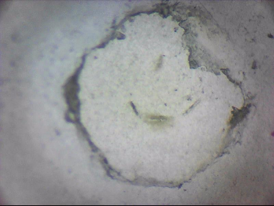 tdIIIa2_q1mm0007.jpg