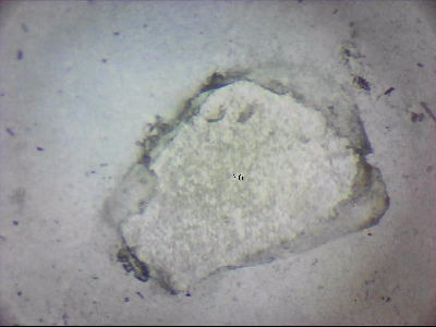 tdIIIa2_q1mm0036_v.jpg