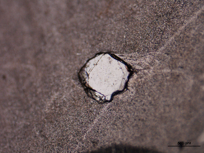 TDIIIA2q05_04.jpg