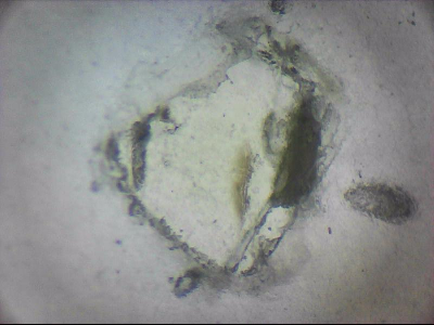 tdIIIa2_q1mm0022.jpg