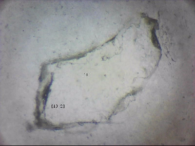 tdIIIa2_q1mm0010_v.jpg