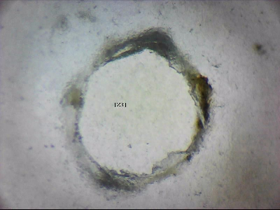 tdIIIa2_q1mm0023_v.jpg