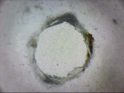 tdIIIa2_q1mm0023.jpg