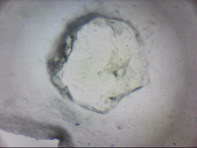 tdIIIa2_q1mm0048.jpg