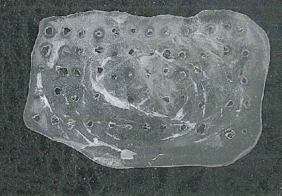 all_scanned.jpg