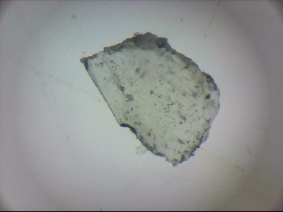 tdIIIa2_q1mm0056.jpg
